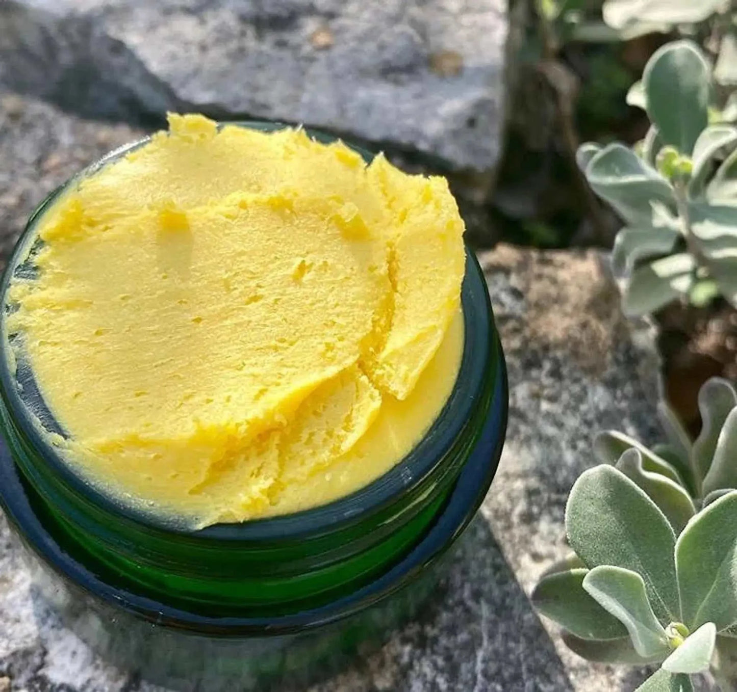 Yellow African Shea Butter in a jar, rich in vitamins and antioxidants, used for skincare and haircare formulations.