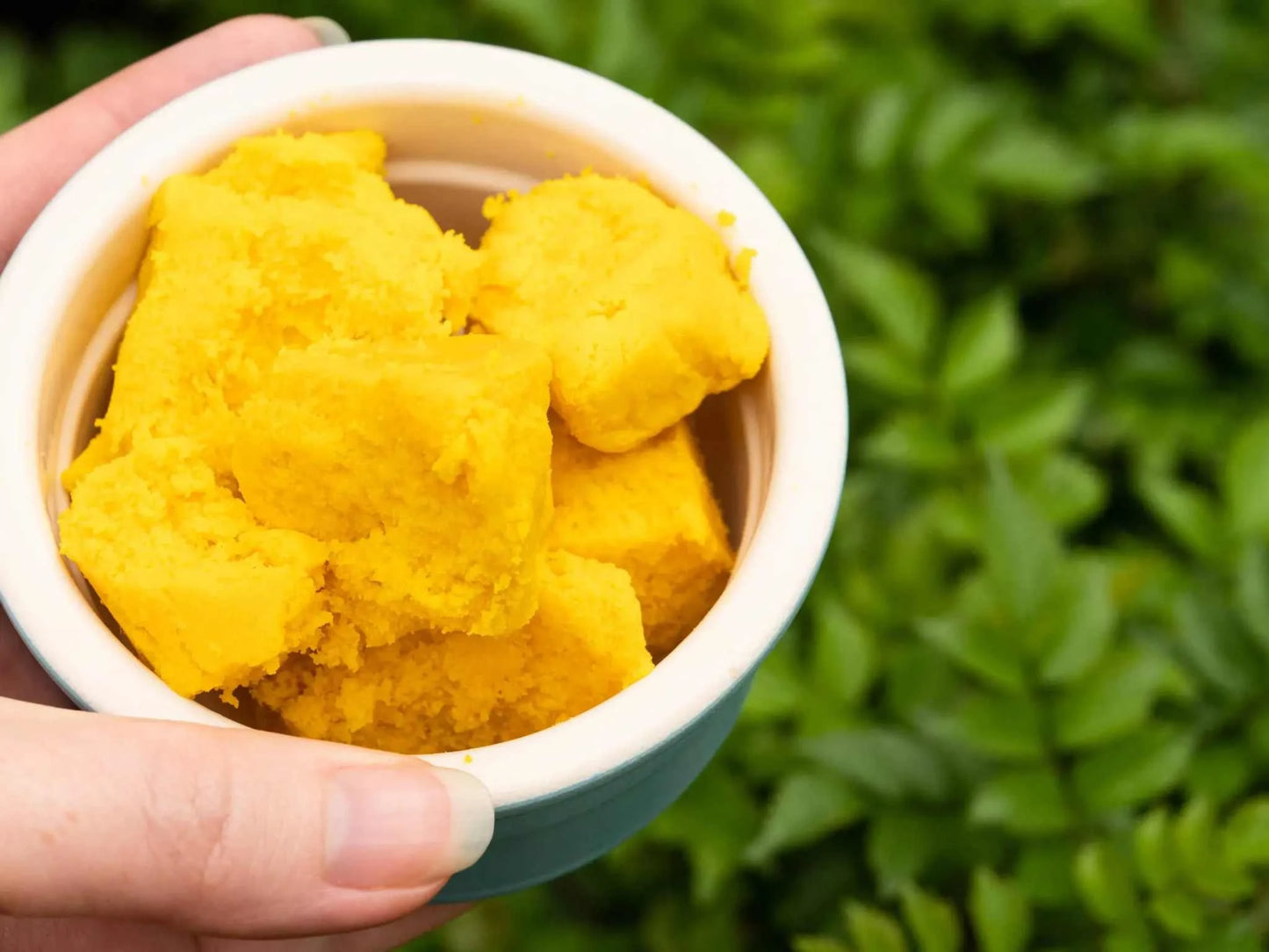 Yellow African Shea Butter in a bowl, natural skincare product.