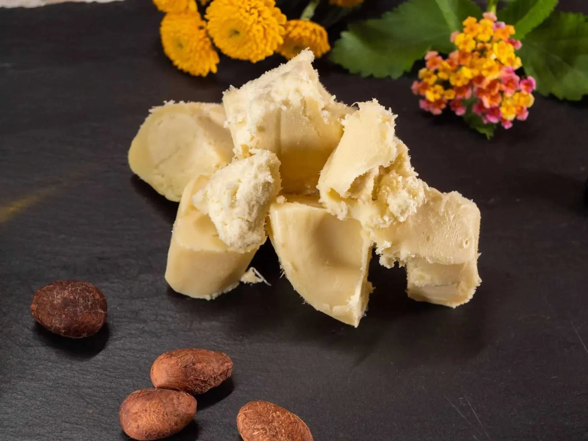 Raw bulk shea butter chunks with colorful flowers and shea nuts on a dark surface